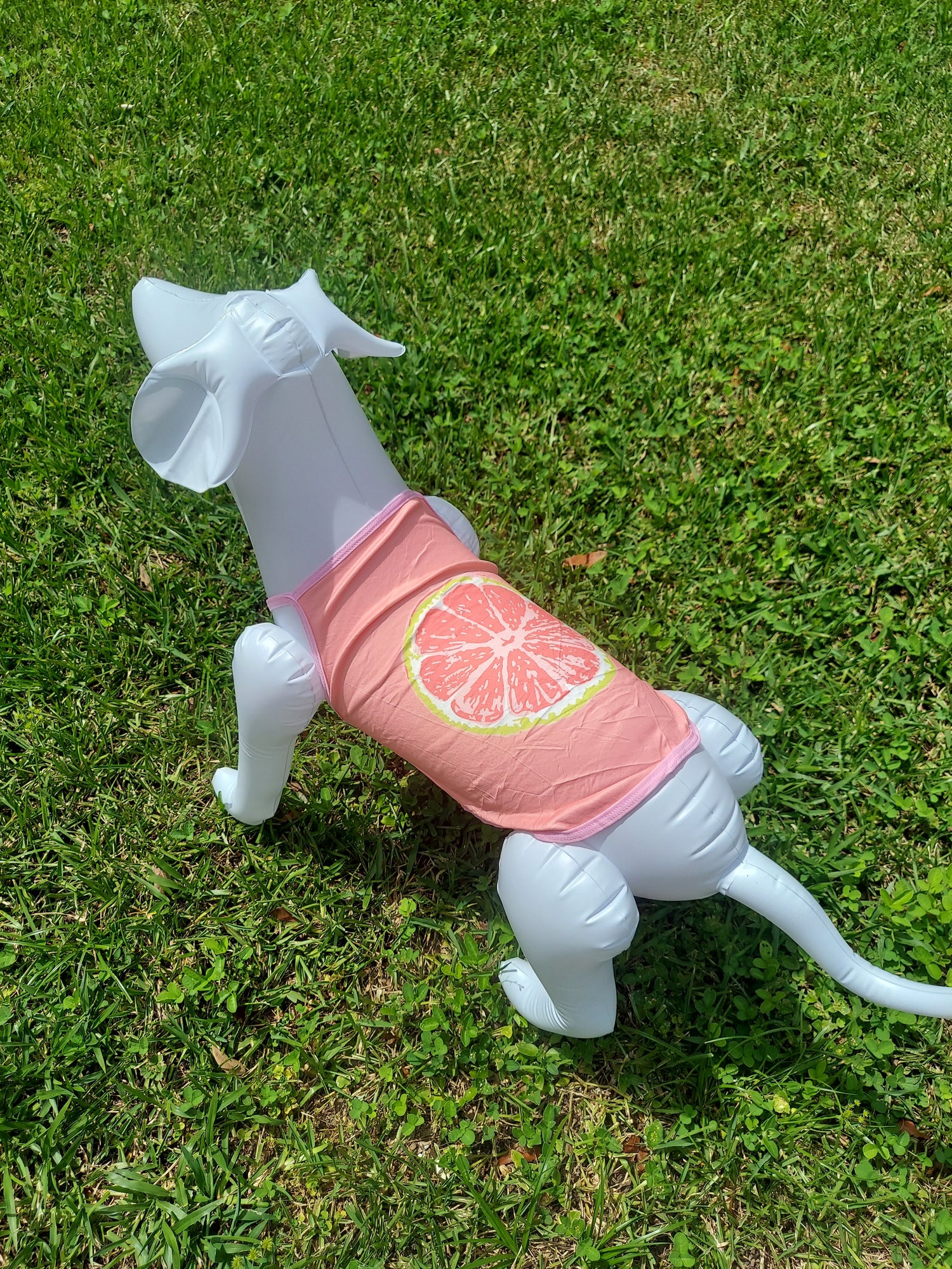 Sunny Day Collection