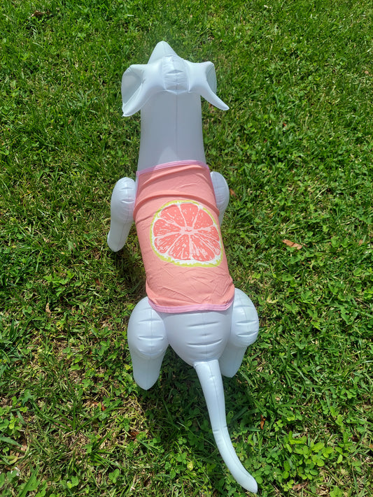 Sweet Citrus Pet Shirt